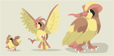 pidgey pidgeotto pidgeot.